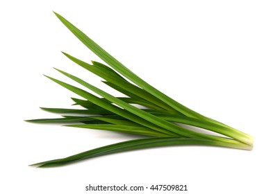 Fresh Pandan Leaves Isolated On White Stock Photo 447509821 | Shutterstock