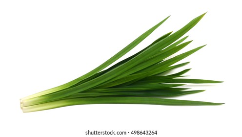 Fresh Pandan leaves isolated on white background - Shutterstock ID 498643264