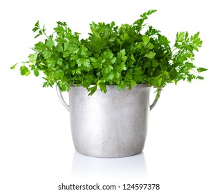 Fresh Parsley Bouquet In Silver Pot Isolated On White Background