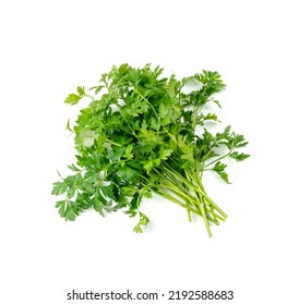 Fresh parsley bunch isolated. Cilantro leaves, raw garden parsley twigs pile, chervil sprig, corriender leaves, bunch of greenery on white background top view - Shutterstock ID 2192588683