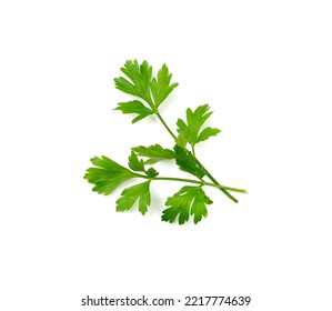Fresh parsley leaf isolated. Cilantro leaves, raw garden parsley twig, chervil sprig, corriender leaves on white background top view - Shutterstock ID 2217774639