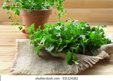 Fresh Parsley In Pot On Wooden Table