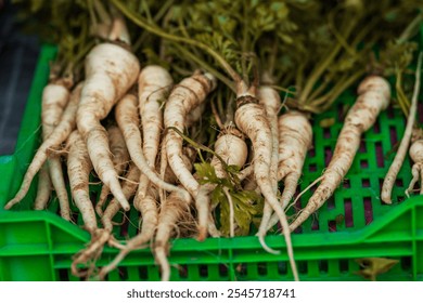 "Fresh parsnips with leaves in a green crate at a market. Perfect for themes on root vegetables, healthy eating, and seasonal produce." - Powered by Shutterstock