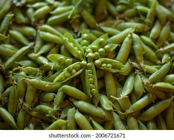 
Fresh Pea Pods. Closed Pods. Open Pods With Peas. Pea Pod Flower.