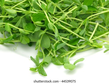 Fresh Pea Shoots On White