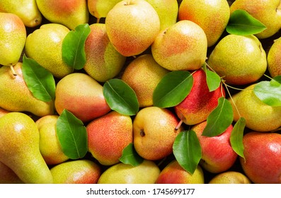 fresh pears with leaves as background, top view - Shutterstock ID 1745699177