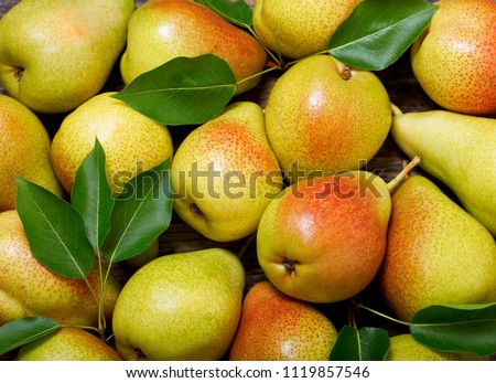 fresh pears with leaves as background, top view