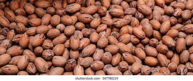 Fresh Pecans Bulk. Pattern