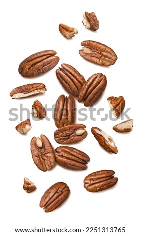 Fresh pecans isolated on white background. Nuts scattered. Top view. Vertical layout.  Package design element with clipping path 商業照片 © 