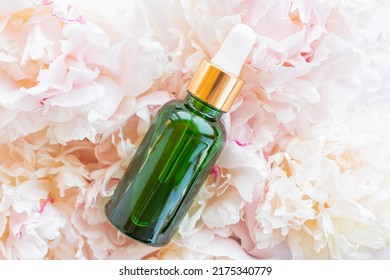 Fresh Peony Flowers Background And Bottle With Cosmetic Oil For Branding. Wellness, Home Skin Care And Spa Relax Treatment Concept. Mockup Package