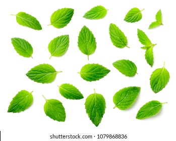 Fresh Peppermint Leaves Isolated On White, Top View