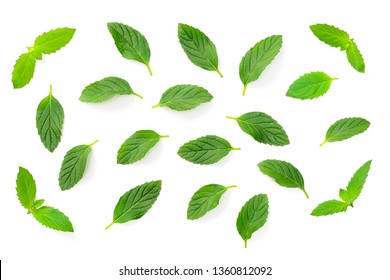 Fresh Peppermint Leaves Isolated On White Background, Top View