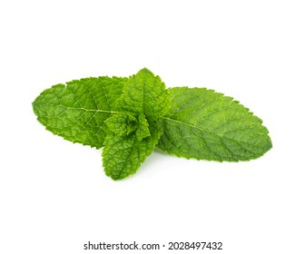 Fresh peppermint leaves isolated on white background. - Shutterstock ID 2028497432