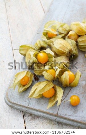 Similar – Physalis Frucht im Garten.