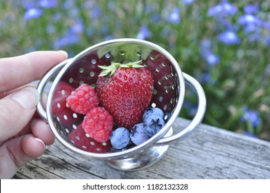 tiny colander