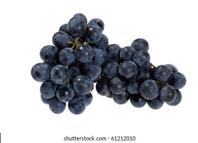 Fresh Picked Concord Grapes