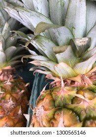 Fresh Pine, Sweet Divine, This Beautiful Pineapple Is More Than Meets The Eye