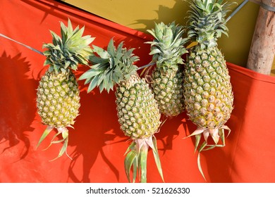 Fresh pineapple