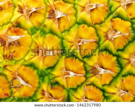 Fresh Pineapple fruit close-up view