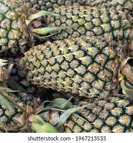 Fresh pineapple for sale at market stall 1x1  format. Square format pineapple. Fresh fruit. Select focus.