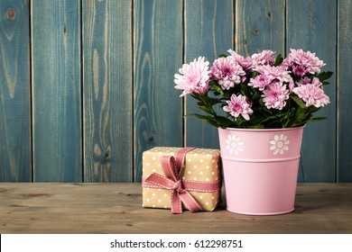 Fresh pink chrysanthemum flowers in bucket and gift box - Powered by Shutterstock