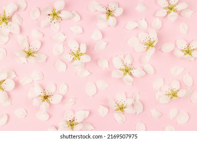 11,013 Simple pistil Images, Stock Photos & Vectors | Shutterstock