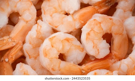 fresh pink shrimp close up