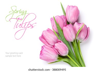 Fresh pink tulip flowers bouquet. Isolated on white background with copy space