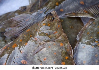 Fresh Plaice For Sale At A Fish Market