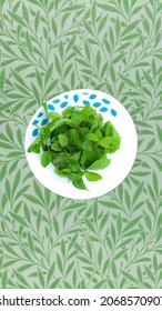Frische Platte mit grünem Minzblatt 