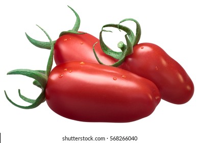 Fresh plum paste San Marzano tomatoes (Solanum lycopersicum), with sepals. Clipping path, shadowless - Powered by Shutterstock