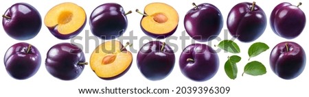 Fresh plum set isolated on white background. Package design element with clipping path