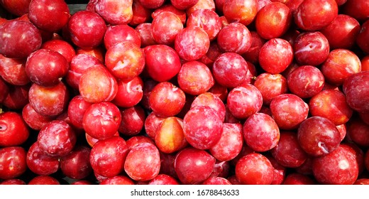 Blue Red Plum Images Stock Photos Vectors Shutterstock