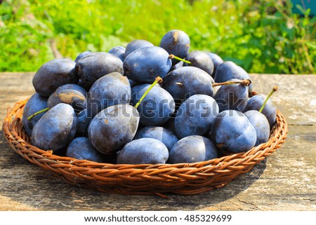 Similar – Damask plums Food Fruit