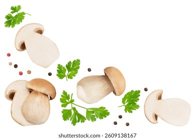 Fresh porcini cep mushroom isolated on white background. Top view with copy space for your text. Flat lay