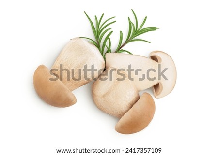 Fresh porcini cep mushroom isolated on white background. Top view. Flat lay