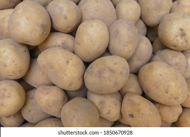 Fresh Potatoes On The Counter Top View Close-up. Harvest Farm Potatoes In The Market. Retail Trade In Vegetables. Soft Focus, Top View.