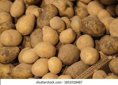 Fresh Potatoes On The Counter Top View Close-up. Harvest Farm Potatoes In The Market. Retail Trade In Vegetables. Soft Focus, Top View.