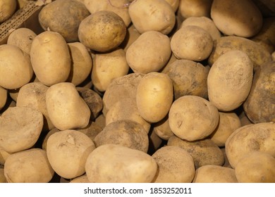 Fresh Potatoes On The Counter Top View Close-up. Harvest Farm Potatoes In The Market. Retail Trade In Vegetables. Soft Focus, Top View.