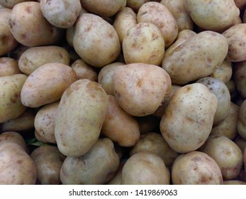 Starch malaysia potato List of