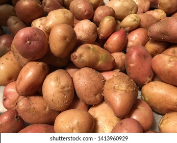 Fresh Produce Of Red Gold Potatoes 