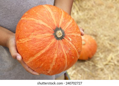 fresh pumpkins