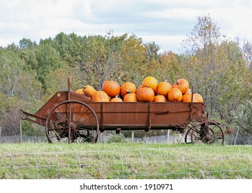 Fresh Pumpkins On Old Wagon Stock Photo 1910971 | Shutterstock