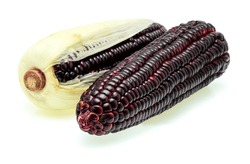 Fresh Purple Corn Isolated On A White Background.