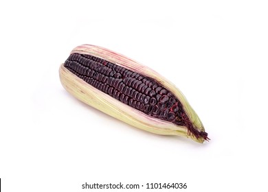 Fresh purple corn isolated on white background. Purple maize or Blue corn , high antioxidants and nutritions. - Shutterstock ID 1101464036