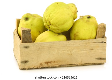 Fresh Quince Fruits 