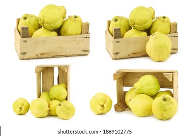 Fresh Quince Fruits 