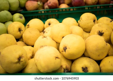 Fresh Quinces In A Crate