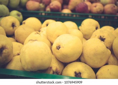 Fresh Quinces In A Crate