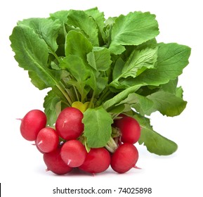 Fresh Radish Isolated